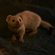 Image for article titled His Dark Materials Returns, as Consistently Inconsistent as Ever
